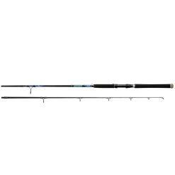 Daiwa Beefstick Rods