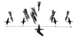 Chatter Lures 36" SideTracker Spreader Bar W/9" Floating Squid Black